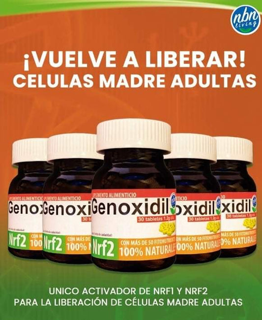 GENOXIDIL ES UN REGENERADOR DE CELULAS MADRES (Nrf2) ACTIVADOR