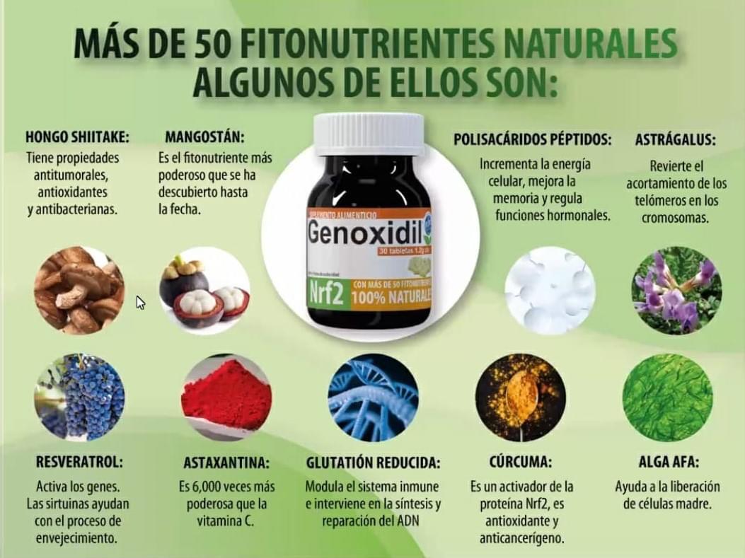 GENOXIDIL ES UN REGENERADOR DE CELULAS MADRES (Nrf2) ACTIVADOR