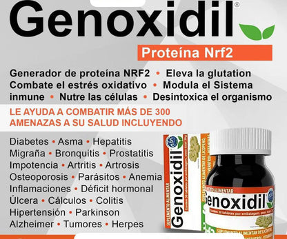 GENOXIDIL ES UN REGENERADOR DE CELULAS MADRES (Nrf2) ACTIVADOR