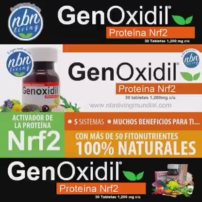 GENOXIDIL ES UN REGENERADOR DE CELULAS MADRES (Nrf2) ACTIVADOR
